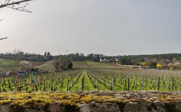 Maison familiale 150 m² – Vieux Chenôve, au calme près des vignes