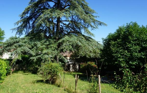 Vente Maison de village Avec jardin à rénover Castelnau-montratier   