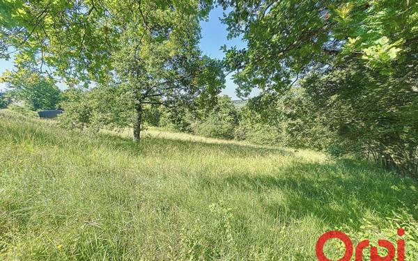 Terrain à vendre    Brugheas