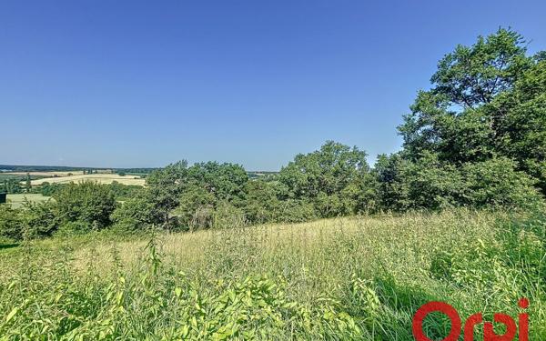 Terrain à vendre    Brugheas