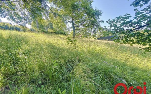 Terrain à vendre    Brugheas