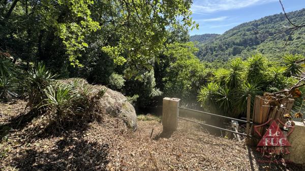 Villa individuelle avec piscine et vue dégagée – Bar-sur-Loup Le Bar-sur-Loup (06620)