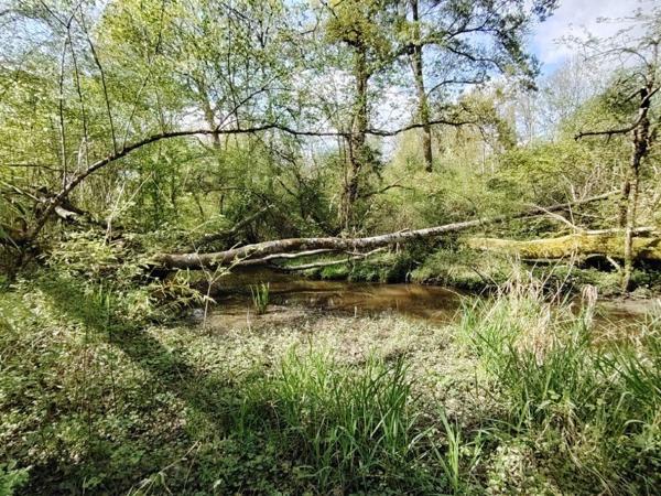 Maison Vitry Aux Loges 6 pièce(s)
