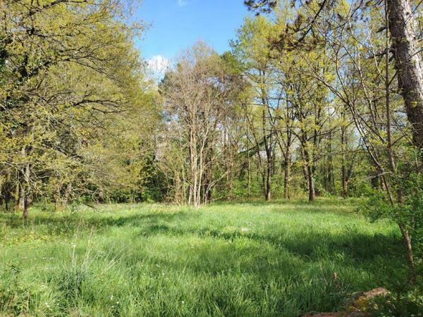 Maison Vitry Aux Loges 6 pièce(s)