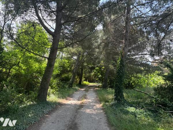 Mas d’Exception à 9 km d’Arles – Parc Régional de Camargue