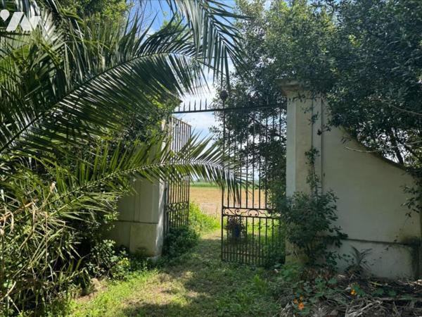 Mas d’Exception à 9 km d’Arles – Parc Régional de Camargue