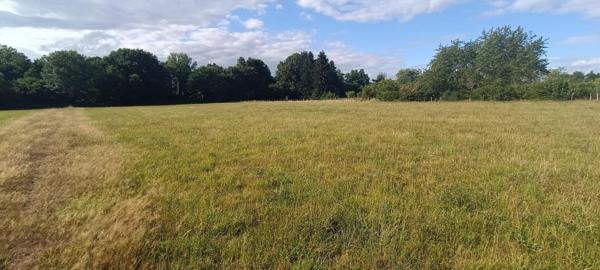 Terrain constructible.  9159 M2 m2 luxeuil