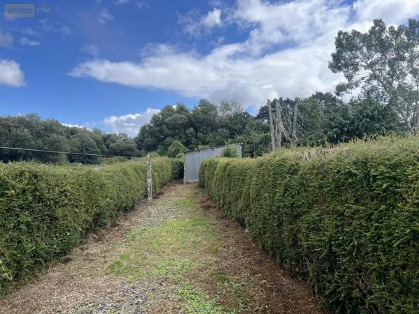 Achat - Maison Ploumagoar 22970 100 m 2 7548 m 2