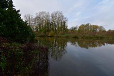 Terrain de loisirs - Bois - Etang à vendre à Cambrai dans le Nord (59400), ref : 59085-1457