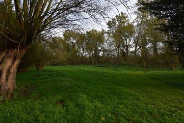 Terrain de loisirs - Bois - Etang à vendre à Cambrai dans le Nord (59400), ref : 59085-1457