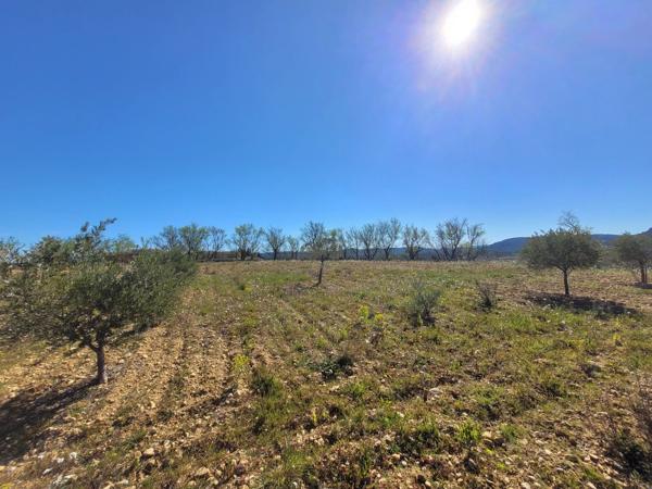 Terrain constructible viabilisé de 2533m²