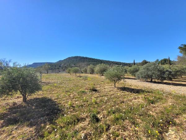 Terrain constructible viabilisé de 2533m²