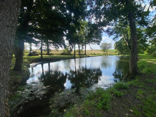 A VENDRE - TERRAIN DE LOISIRS AVEC ETANG - BEAULIEU SUR OUDON