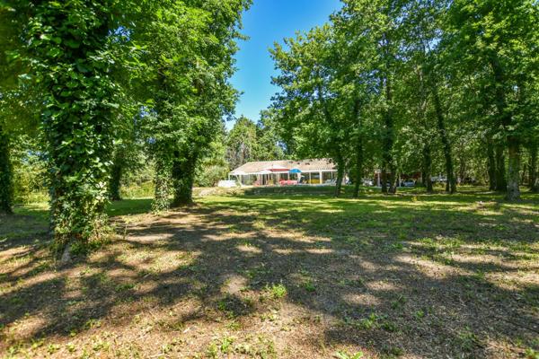 Villa plain-pied sur parc arboré de 4 724 m2 avec piscine