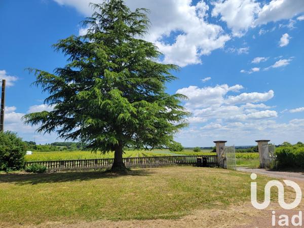 Maison rustique 6 pièces de 135 m² à Le Puy-Notre-Dame (49260)