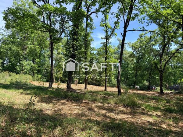 Terrain constructible avec permis à CALLIAN (83)