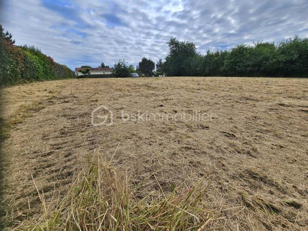 Terrain de 984 m²