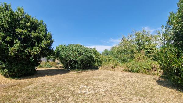 Maison ancienne à rénover entièrement – Beau potentiel d'aménagement Curzay-sur-Vonne (86600)