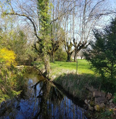 Bien rare : ancienne ferme du XVIII? siècle avec dépendances et grand terrain arboré à Barbezieux-Saint-Hilaire.