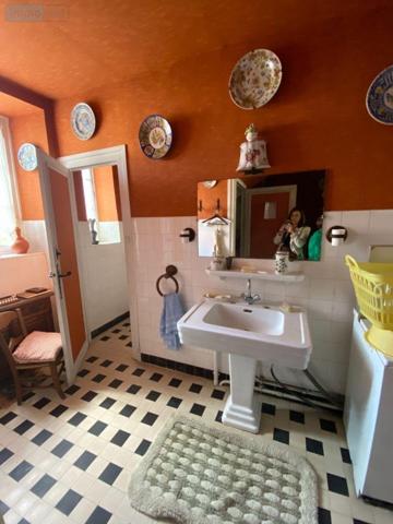 Maison de maître à vendre à Ally dans le Cantal (15700), ref : 15060/1178