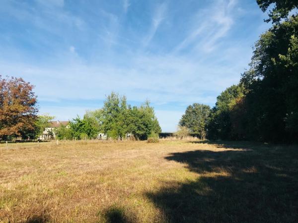 Dpt Cher (18), à vendre LE CHAUTAY terrain constructible de plus d'un hectare