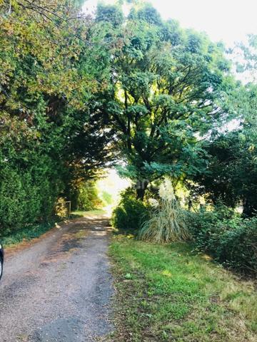 Dpt Cher (18), à vendre LE CHAUTAY terrain constructible de plus d'un hectare
