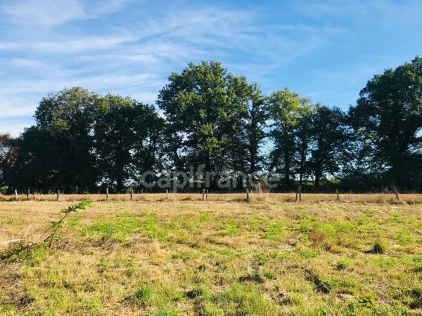 Dpt Cher (18), à vendre LE CHAUTAY terrain constructible de plus d'un hectare