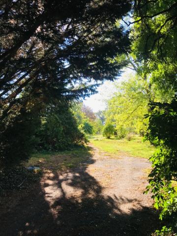 Dpt Cher (18), à vendre LE CHAUTAY terrain constructible de plus d'un hectare