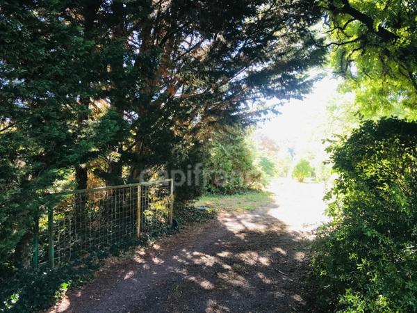 Dpt Cher (18), à vendre LE CHAUTAY terrain constructible de plus d'un hectare