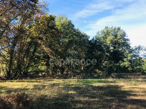 Dpt Cher (18), à vendre LE CHAUTAY terrain constructible de plus d'un hectare