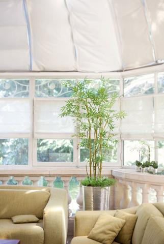 Vente Maison 15 pièces de 650m² - 94120 Fontenay-sous-Bois