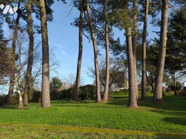 PLESCOP en campagne belle maison traditionnelle Néo Bretonne sur un terrain de 2560m²