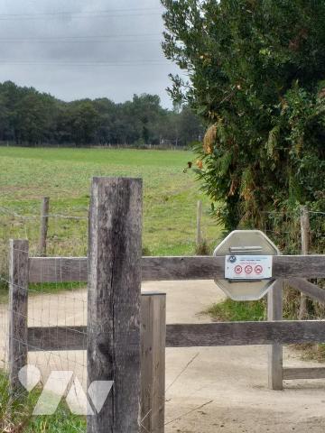 PLESCOP en campagne belle maison traditionnelle Néo Bretonne sur un terrain de 2560m²