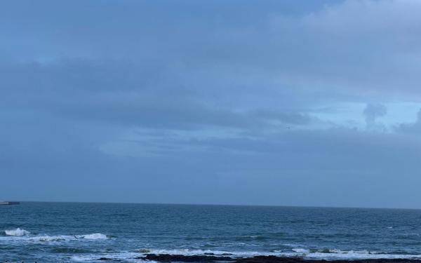 Appartement à vendre    2 pièces • 49,13 m2 La Turballe