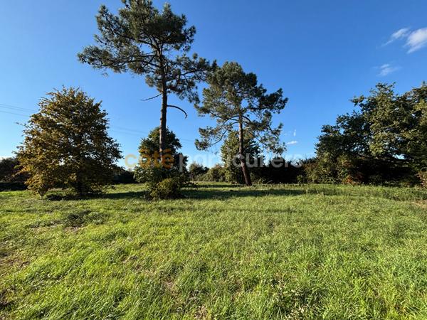 Vente Terrain2307 m² - LE PASSAGE (47520)