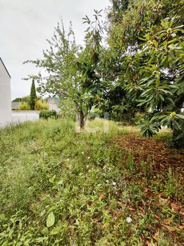 Terrain Sainte Luce Sur Loire 426 M2