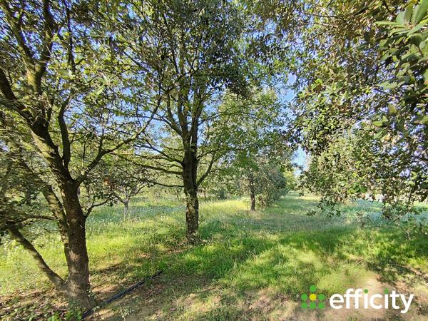 Maison 5 pièces - 240 m² Bien prestige