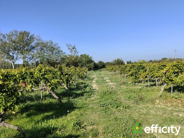 Maison 5 pièces - 240 m² Bien prestige