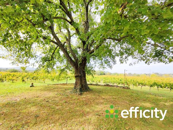 Maison 5 pièces - 240 m² Bien prestige