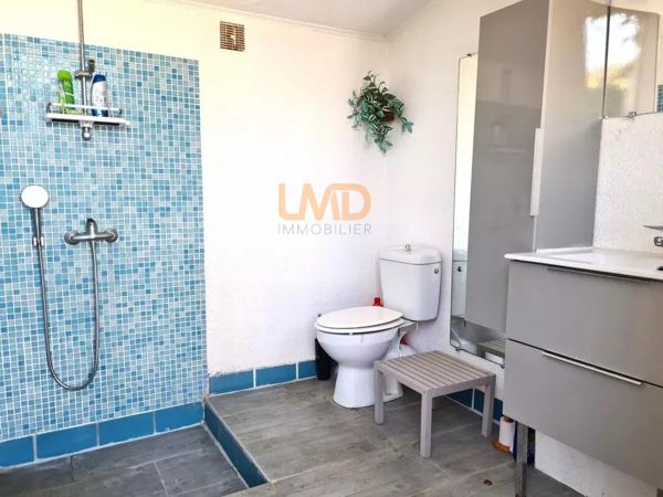 Maison 3 chambres - dépendance - piscine - pool house - 2 garages