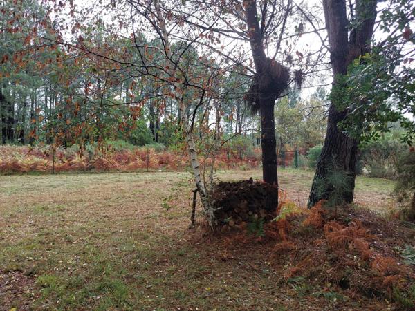 Terrain à vendre de 835,00 M2 BISCARROSSE (40)