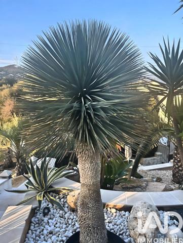 Maison à vendre 7 pièces 326 m² Mandelieu-la-Napoule