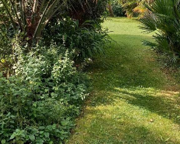 Maison 5 pièces - 168 m² Bien prestige