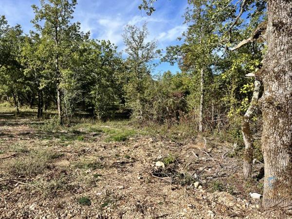 Terrain à vendre |  Lalbenque |  813 m²