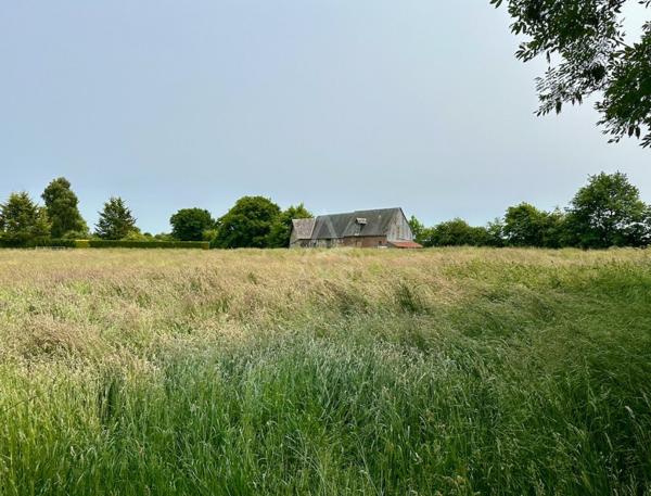 Maison de Maître - 2,5 hectares