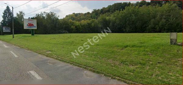RARE TERRAIN COMMERCIAL GROSBLIEDERSTROFF