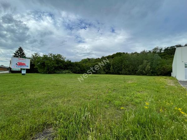 RARE TERRAIN COMMERCIAL GROSBLIEDERSTROFF