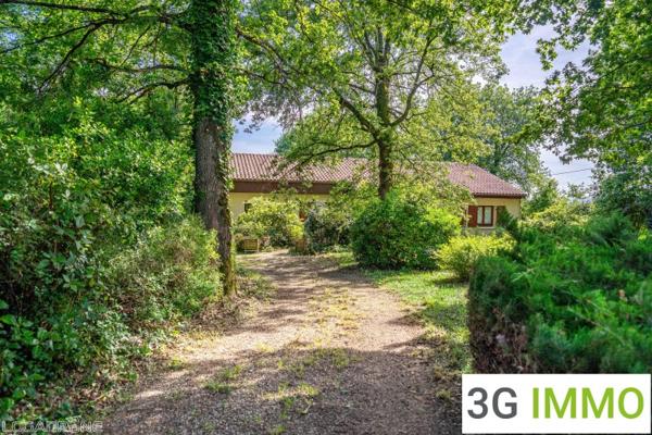 Vente / Maison de plain-pied à Lédat (47300)