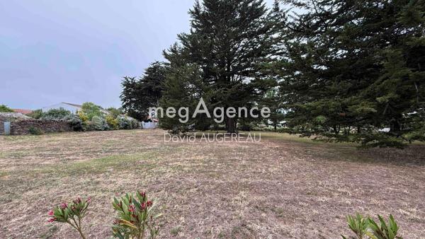 Terrain à L' ILE-D'YEU, 85350 - 1200m²