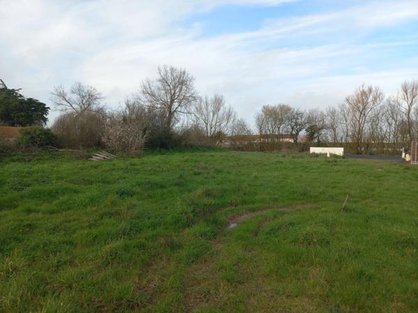 terrain 650 m2 SAINT JEAN DE MONTS